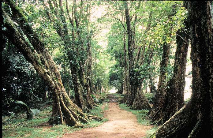 Seychellen 1999-056.jpg